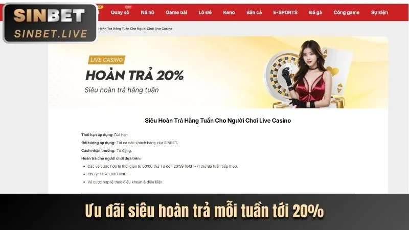 An toàn và công bằng tại VIP66